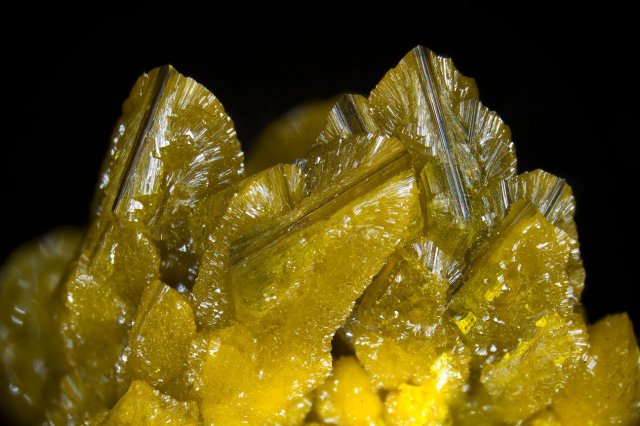 Minéraux uranifères